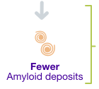 Fewer amyloid deposits.